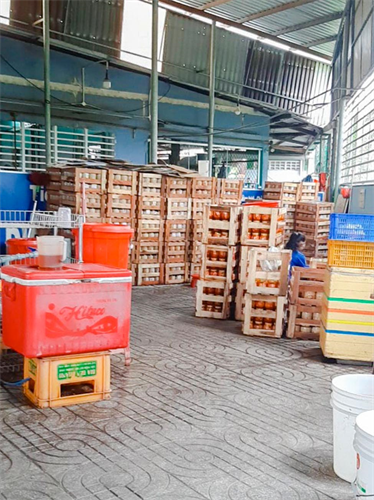 Dịch vụ chuyển kho xưởng trọn gói tại Phan Thiết Taxi Tải